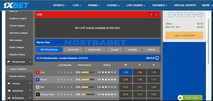 1xBet's virtual Greyhounds from Golden Race